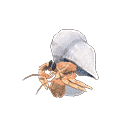 acnh-hermit-crab-model.png