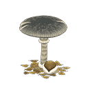 acnh-mush-parasol.png