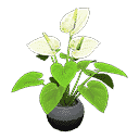 acnh-anthurium-plant.png