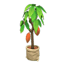 acnh-cacao-tree.png