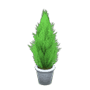 acnh-cypress-plant.png