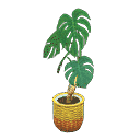 acnh-monstera.png