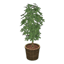 acnh-schefflera.png