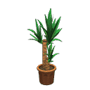 acnh-yucca.png