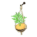 acnh-coconut-wall-planter.png