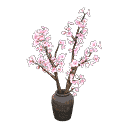 acnh-cherry-blossom-branches.png