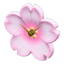 acnh-cherry-blossom-clock.png
