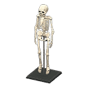 acnh-skeleton.png
