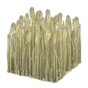 acnh-wheat-field.png