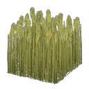 acnh-wheat-field.png