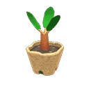 acnh-cedar-sapling.png