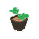 acnh-pumpkin-start.png