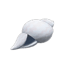 acnh-sea-snail.png
